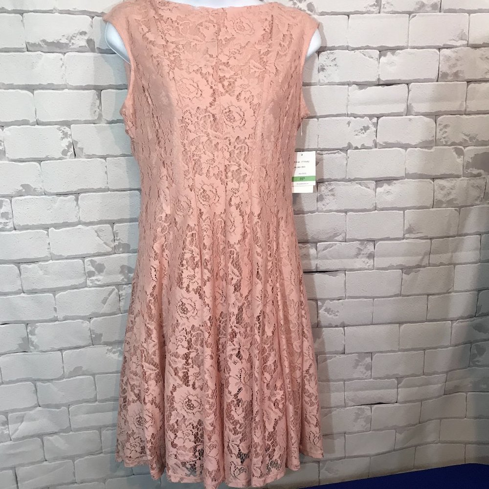 Danny & Nicole Sleeveless Floral Lace Dress Sz 8P
